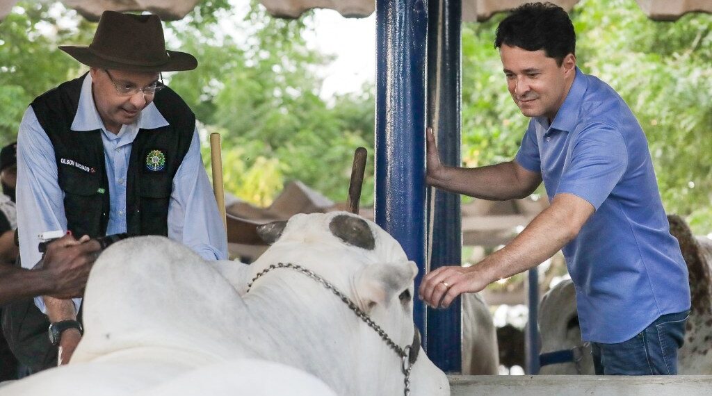 Anderson defende apoio estadual aos produtores do agronegócio