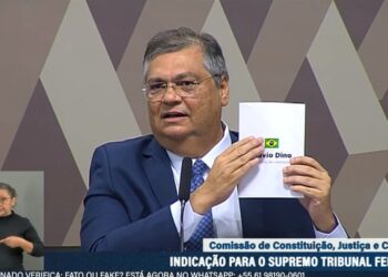 Em discurso, Dino se diz contra decisões monocráticas
